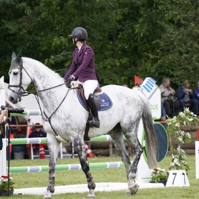 Certification HHP : l'Omsa et l'IHSC renouvellent leur collabocation pour la santé et la mobilité des chevaux de compétition
