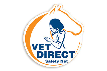 Vet direct Safety Net : Aux États-Unis, devoir se séparer de son cheval, de son poney ou de son âne en raison de problèmes financiers n’est plus une fatalité